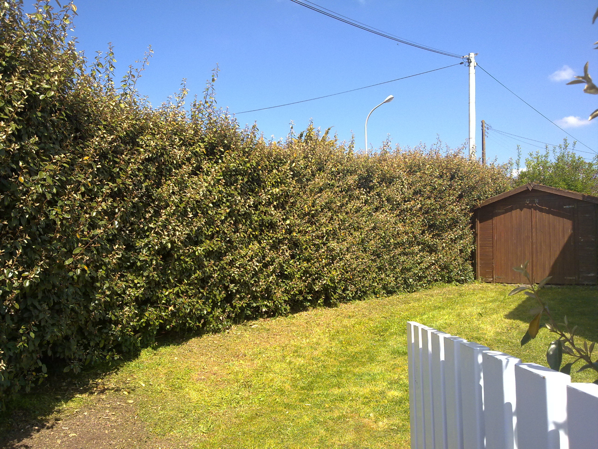 une partie du coin jardin bien abrité des regards et on peut rentrer la voiture